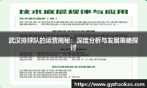 武汉排球队的运营揭秘：深度分析与发展策略探讨
